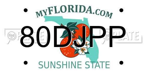 80DJPP Florida License Plate