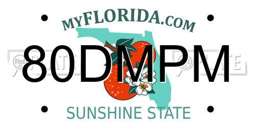 80DMPM Florida License Plate
