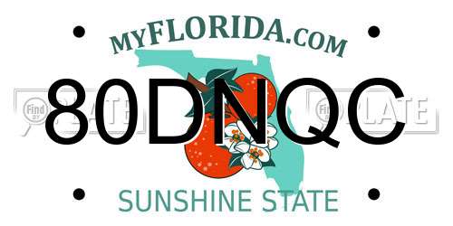 80DNQC Florida License Plate