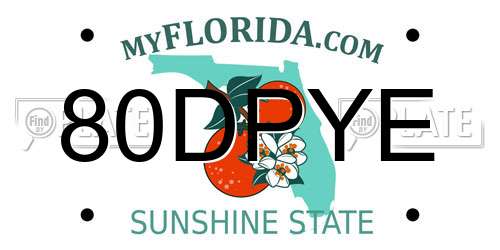 80DPYE Florida License Plate