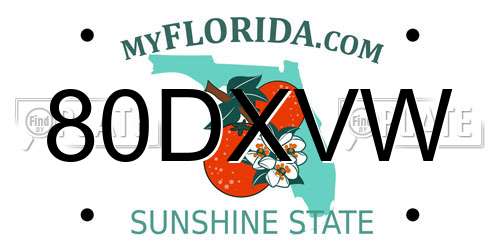 80DXVW Florida License Plate