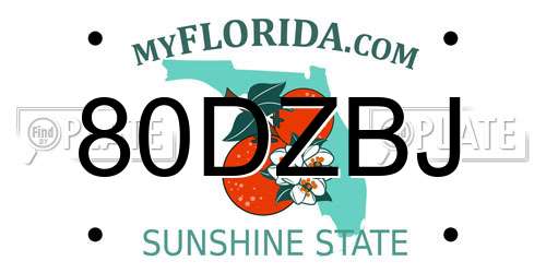 80DZBJ Florida License Plate