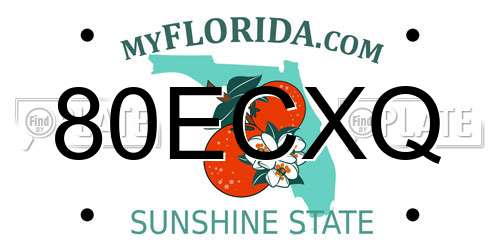 80ECXQ Florida License Plate