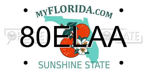 80ELAA Florida License Plate