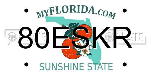 80ESKR Florida License Plate