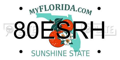 80ESRH Florida License Plate