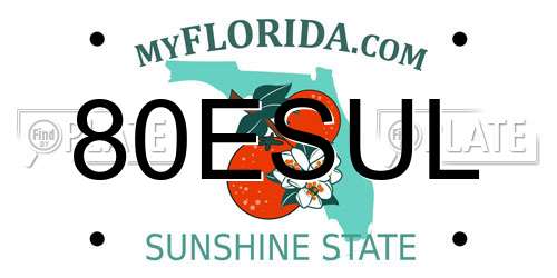 80ESUL Florida License Plate