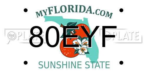 80EYF Florida License Plate