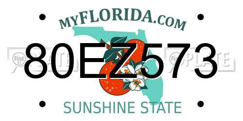 80EZ573 Florida License Plate