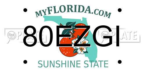 80EZGI Florida License Plate