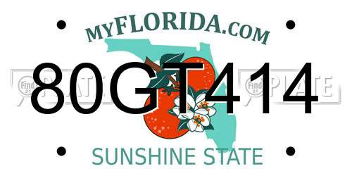 80GT414 Florida License Plate