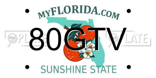80GTV Florida License Plate