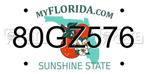 80GZ576 Florida License Plate