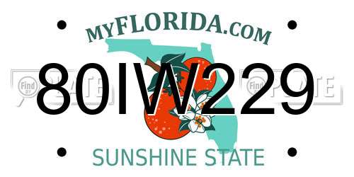 80IW229 Florida License Plate