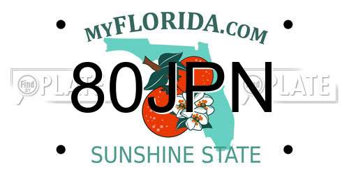 80JPN Florida License Plate