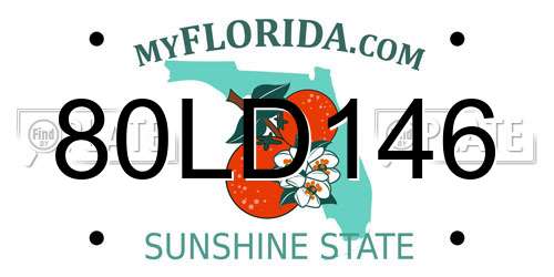 80LD146 Florida License Plate
