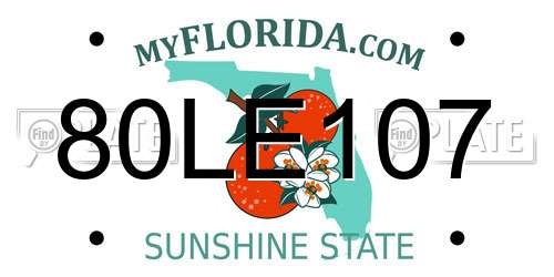 80LE107 Florida License Plate
