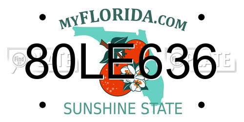 80LE636 Florida License Plate