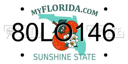 80LO146 Florida License Plate