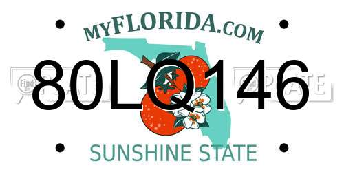 80LQ146 Florida License Plate