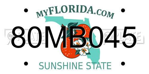 80MB045 Florida License Plate