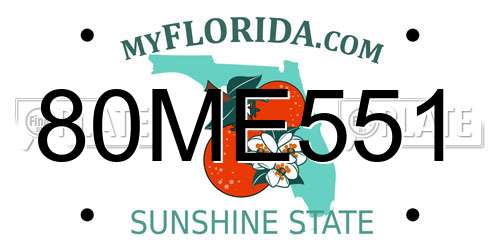 80ME551 Florida License Plate