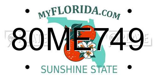 80ME749 Florida License Plate