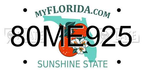 80ME925 Florida License Plate