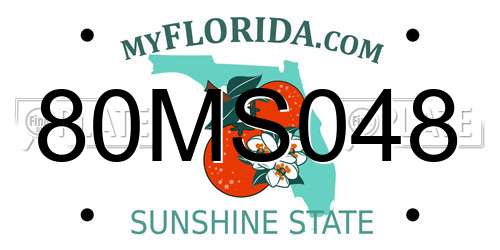 80MS048 Florida License Plate