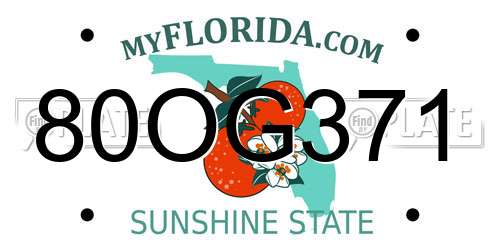 80OG371 Florida License Plate