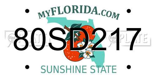 80SD217 Florida License Plate