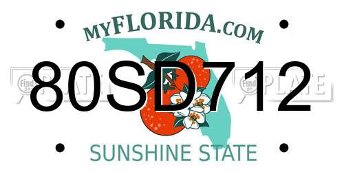 80SD712 Florida License Plate