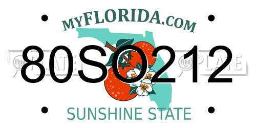 80SO212 Florida License Plate