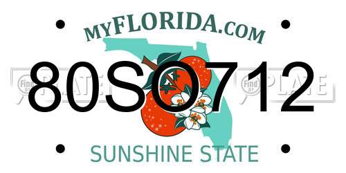80SO712 Florida License Plate