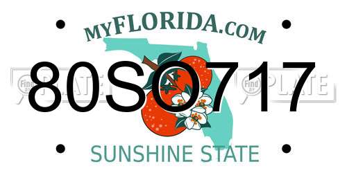80SO717 Florida License Plate