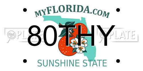 80THY Florida License Plate