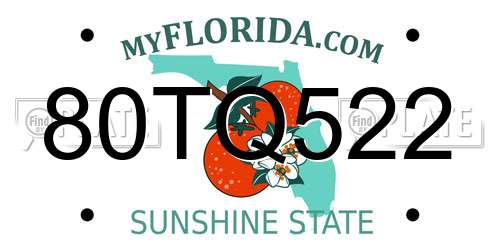 80TQ522 Florida License Plate