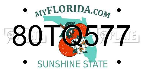 80TQ577 Florida License Plate