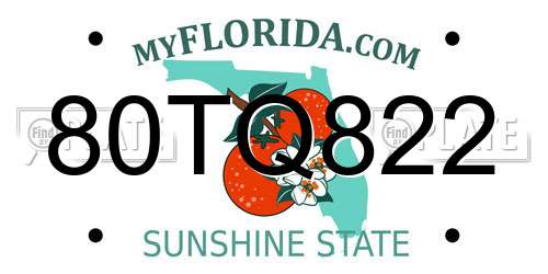 80TQ822 Florida License Plate