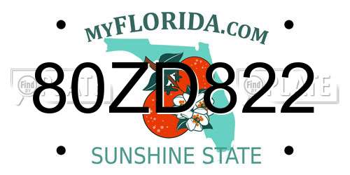 80ZD822 Florida License Plate