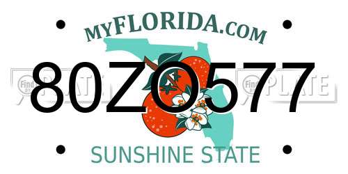 80ZO577 Florida License Plate