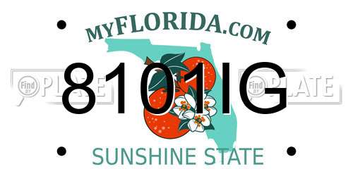 8101IG Florida License Plate