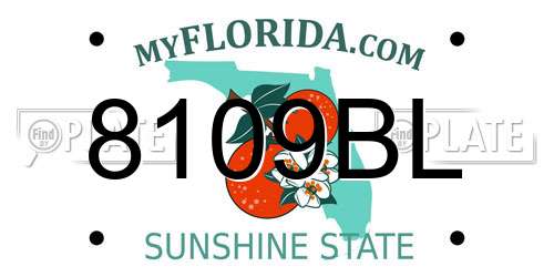 8109BL Florida License Plate