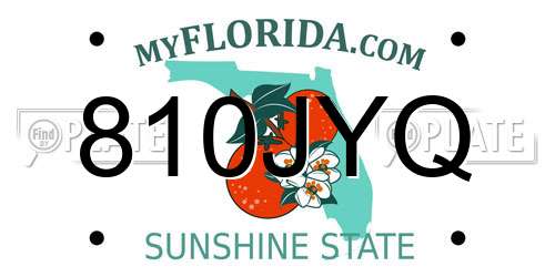 810JYQ Florida License Plate