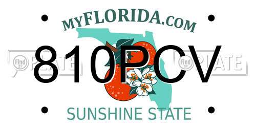 810PCV Florida License Plate