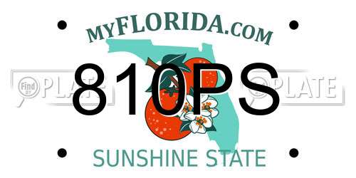 810PS Florida License Plate