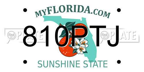 810PTJ Florida License Plate