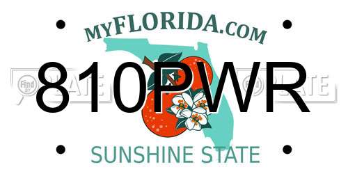 810PWR Florida License Plate