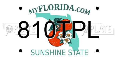 810TPL Florida License Plate