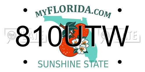 810UTW Florida License Plate